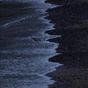 我下次表白就用这首歌