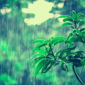 温和放松的梦想