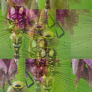 Retropulsion