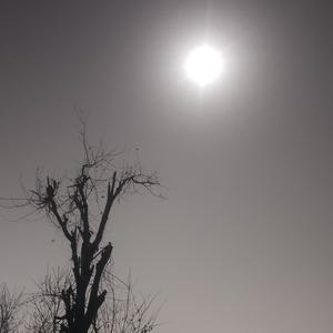 我身份证去哪了