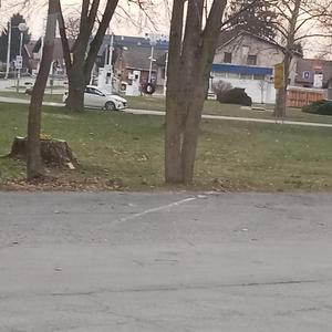 Yu-Gi-Oh (feat. Massimo Savage & Z++)