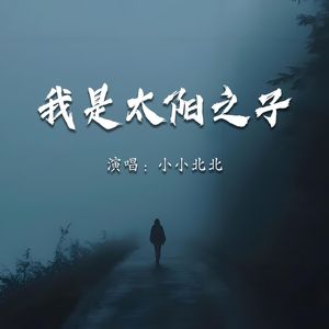 我是太阳之子