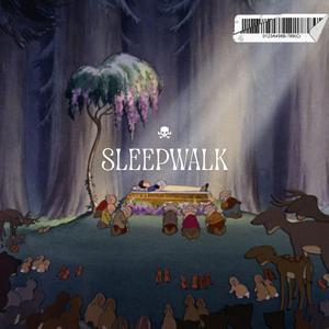 Sleepwalk remake (dont go to sleep)