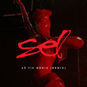 Aš Tik Noriu (Remix 2025)