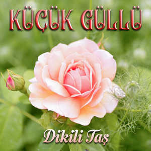 Erzurum Dağlarında