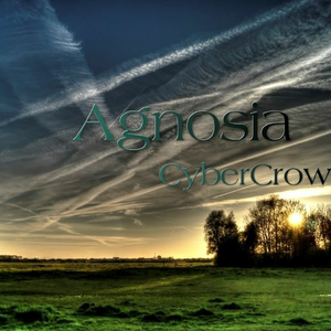 Agnosia