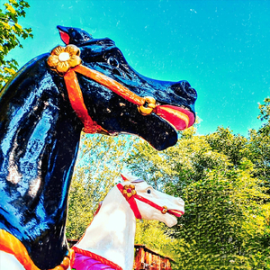 The Boy Who Cried Wolf