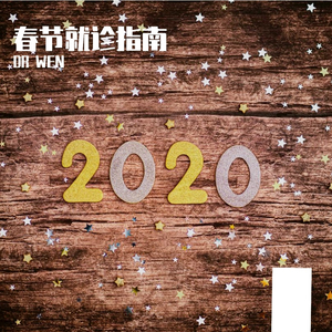 春节就诊指南（野狼disco）