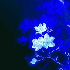 重影（Prod by SCORPION）