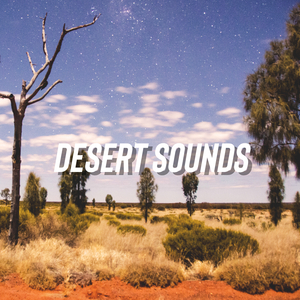 Desert Sounds