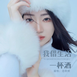 我借生活一杯酒