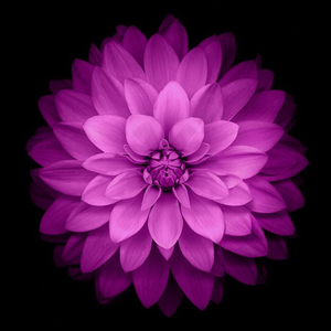 Spinnin混音剪接 1.0