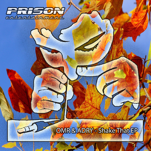 Shake That (Original Mix)