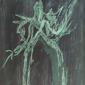 Cordura (Verde)
