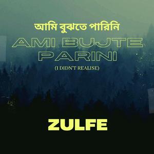 Ami Bujte Parini (I didn't realise)