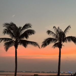 《破茧的季风》