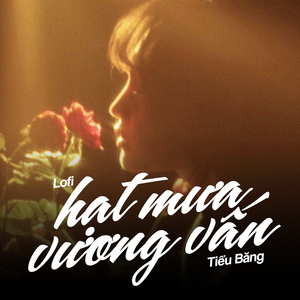 Hạt Mưa Vương Vấn (Lofi)