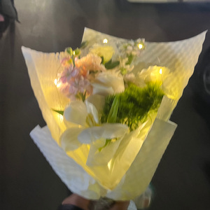 春日恋歌_20240405_011343