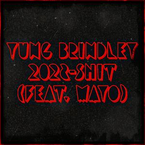 2028-SHIT (feat. MaYo)