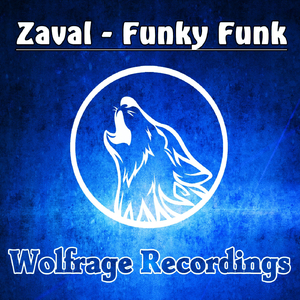 Funky Funk (Original Mix)