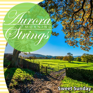 Coffee and Smoothies