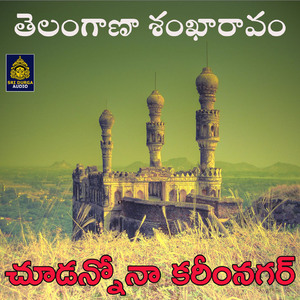 Chudanno Na Karimnagar (Telangana Shankaravam)