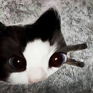 感受我的感受