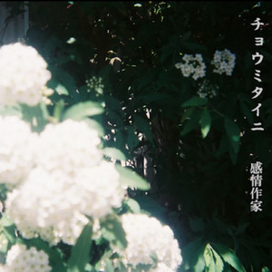 チョウミタイニ