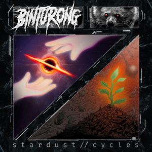 Cycles