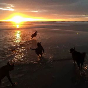 开往早晨的午夜 (Breakbeat Mix )