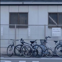 愿所有美好都能如约而至