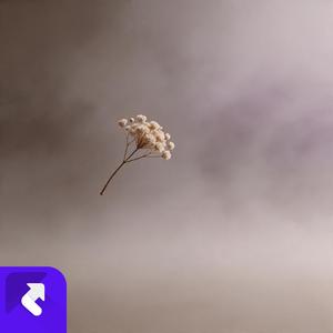 Please love yourself