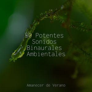 Visiones Luminosas