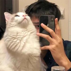 人间城