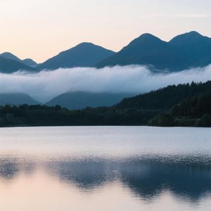 明月如画照天涯