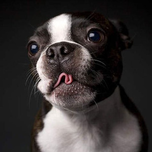 After Hours (slowed + reverb)