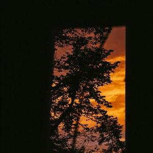 在风中书写的信