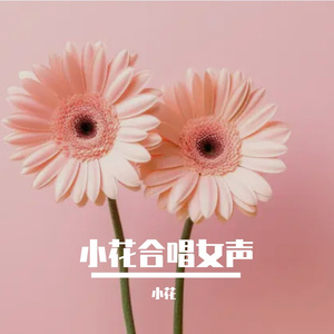 红心收藏家(女声独唱版)