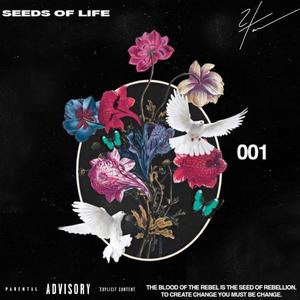 Real Rap (feat. RealDealKiddo, Rondondota, Twonny & Payso)