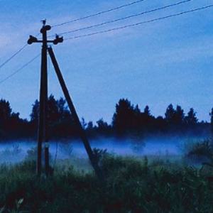 волокна мышц