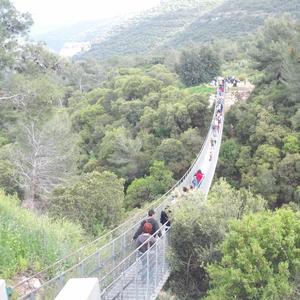 לא ליפול אחור