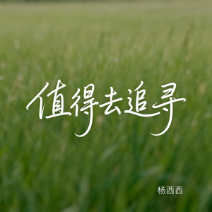 值得去追寻（原版）