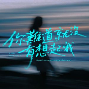 你难道就没有想起我