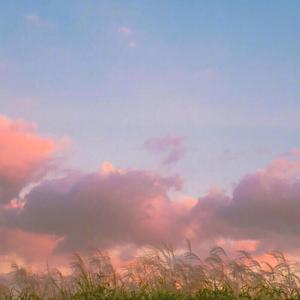 寻（Demo.ver）