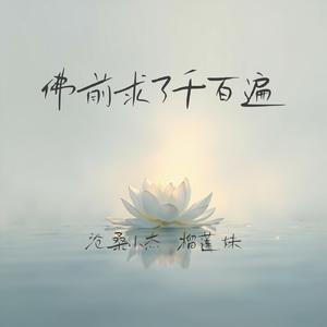 佛前求了千百遍