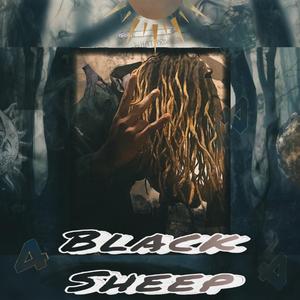 Black Sh33p