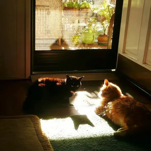 来生再结夫妻缘