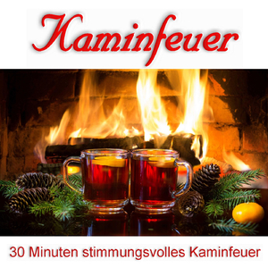 Kaminfeuer (30 Minuten stimmungsvolles Kaminfeuer)