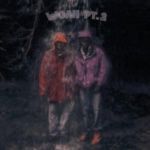 woah pt. 2 (feat. Shaded)