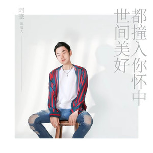 世间美好都撞入你怀中